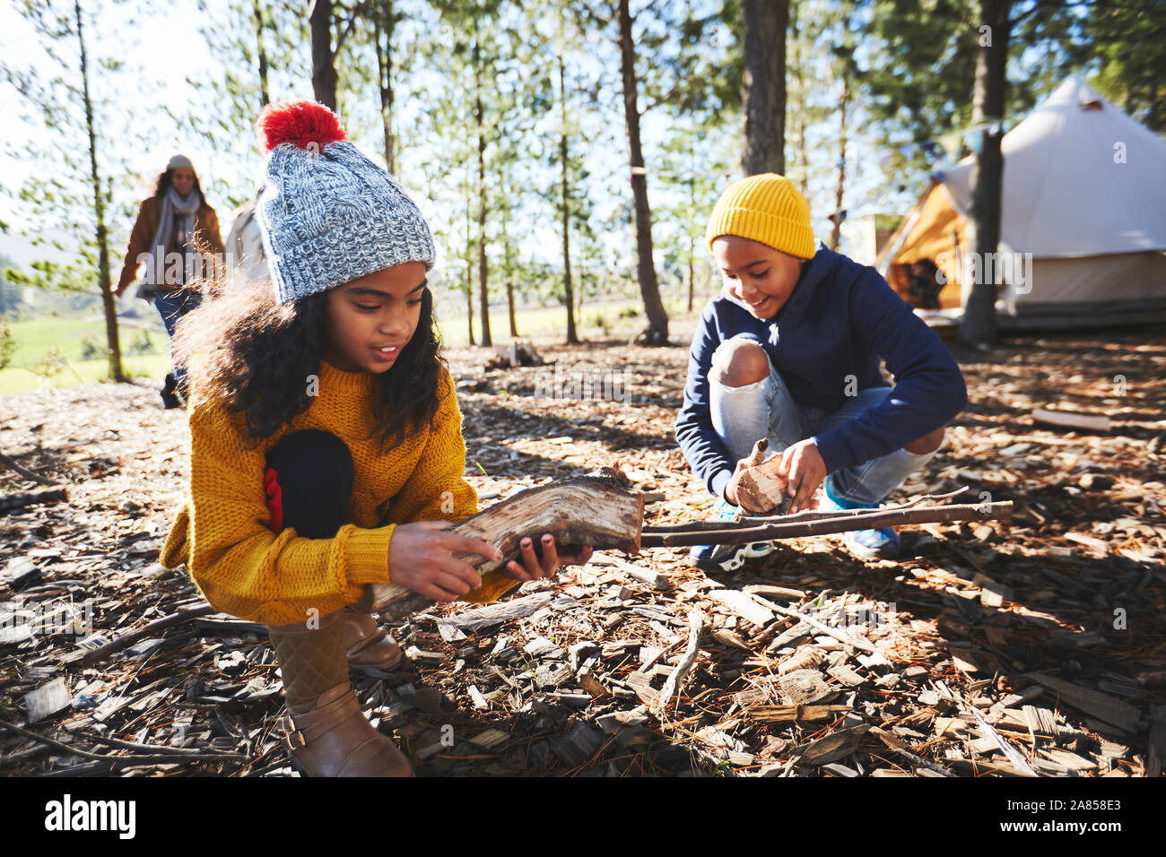 Brother and sister gathering firewood kindling at campsite in sunny woods Stock Photo