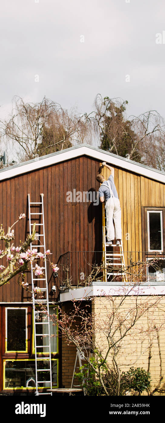 Painter on ladder hires stock photography and images Alamy