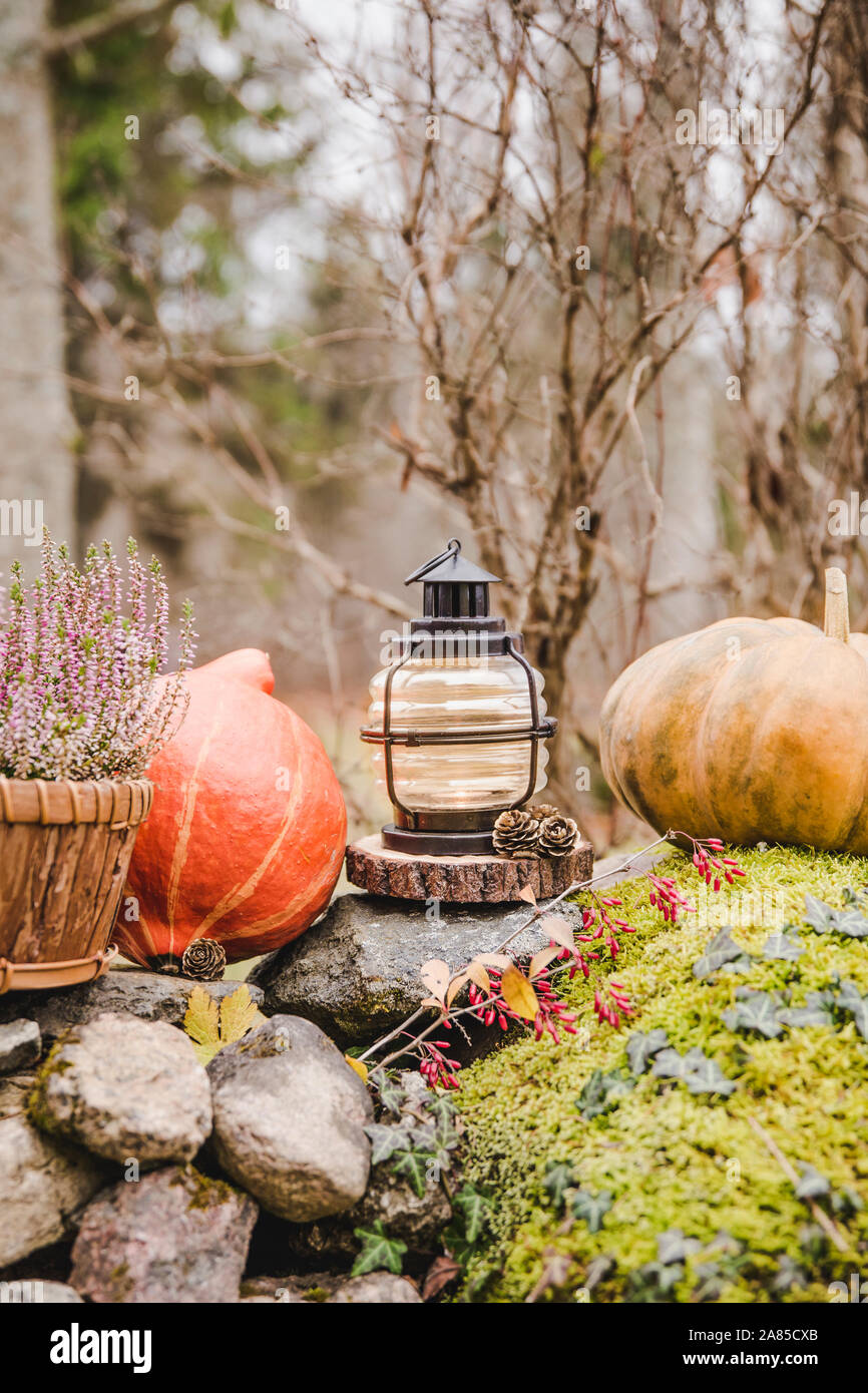 Seasonal home garden autumn decoration with heather flower in pine bark flower pot, pumpkins and lantern with candle illuminated. Stock Photo