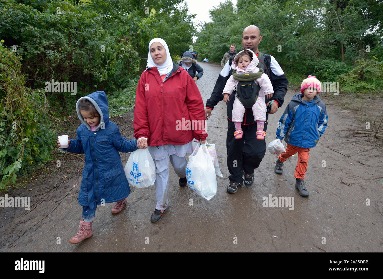Refugees on their way to western Europe, a family from Damascus, Syria, approaches the border into Croatia near the Serbian village of Berkasovo. Stock Photo