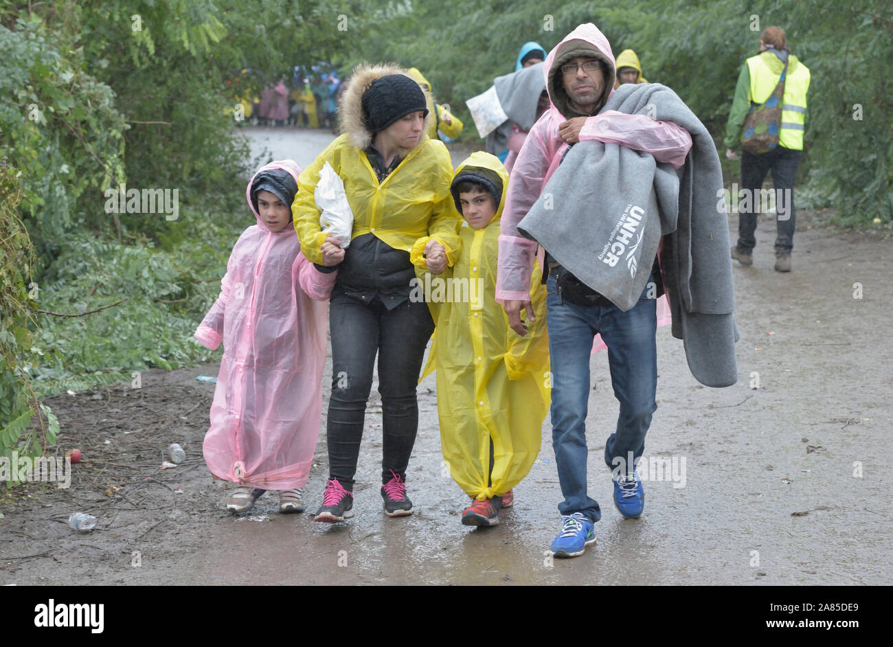 A refugee family approaches the border into Croatia near the Serbian village of Berkasovo. Stock Photo