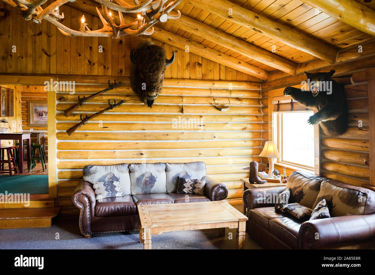 Log Cabin Lounge Mounted Bison And Bear On Wall At Heart Six