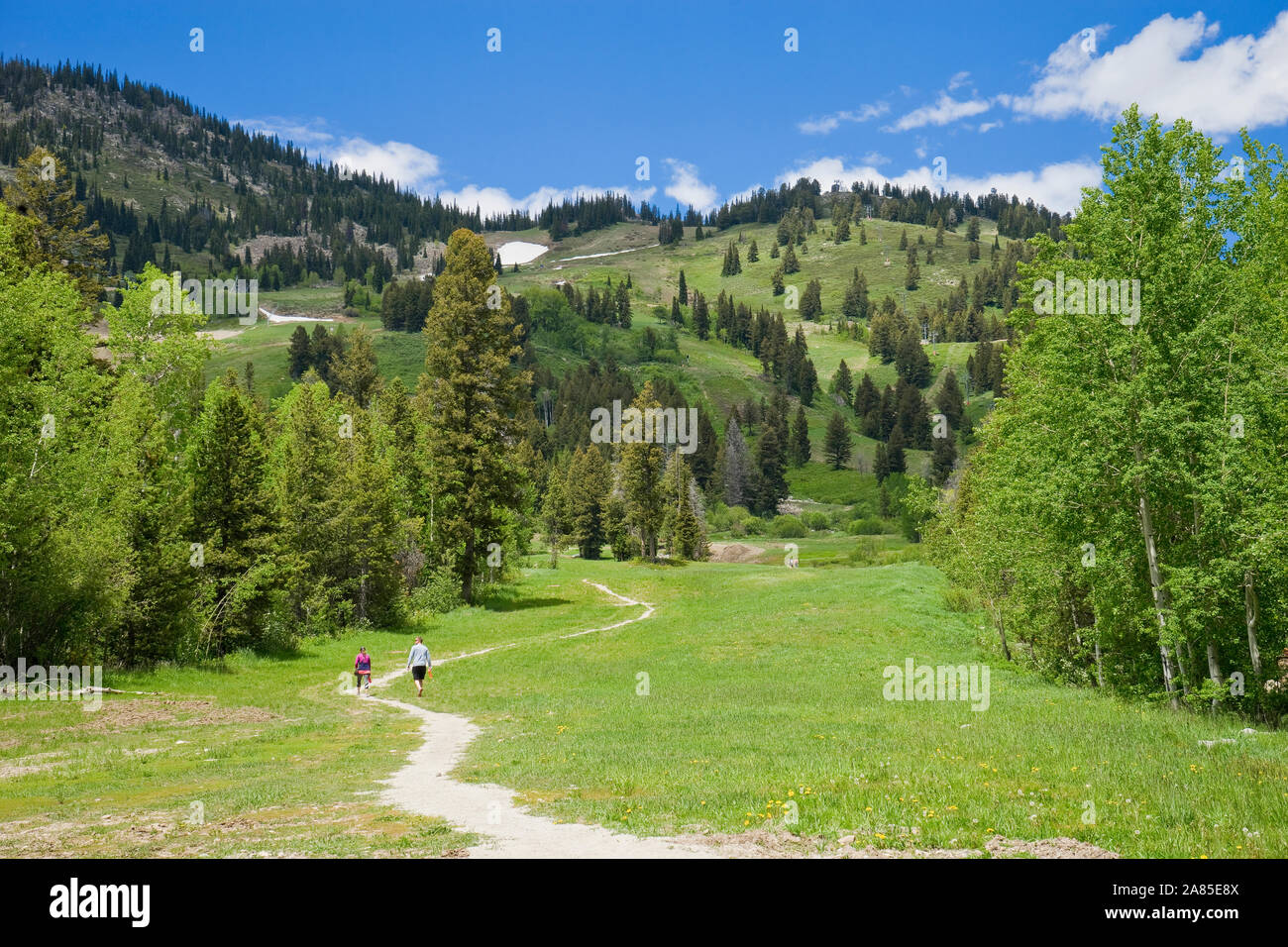 Jackson hole mountain resort hires stock photography and images Alamy