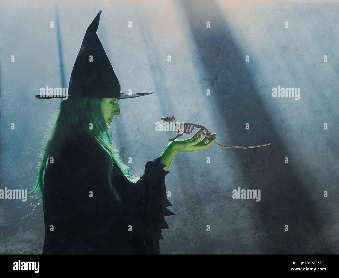 Woman in witch costume holding mouse skeleton with foggy  background. Stock Photo