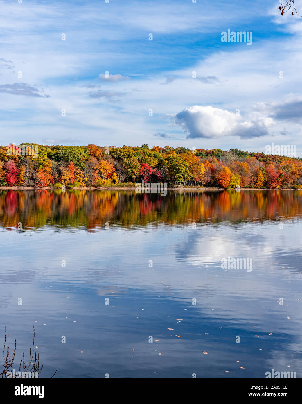 Colorful fall trees reflecting in lake under blue skies. Stock Photo