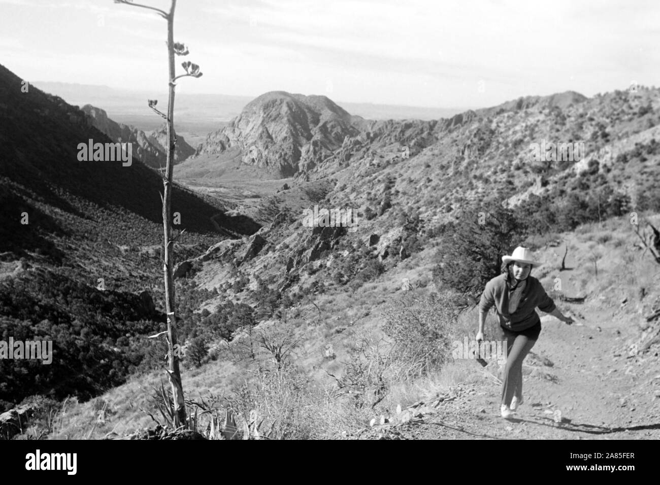 Wanderung im Big Bend Nationalpark, Texas, USA, 1950er. Hiking through Big Bend National Park, Texas, USA, 1950s. Stock Photo