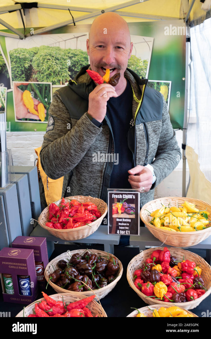 Chilli fram stall holder biting fresh chillies at Abergavenny Food Festival, Wales, UK Stock Photo