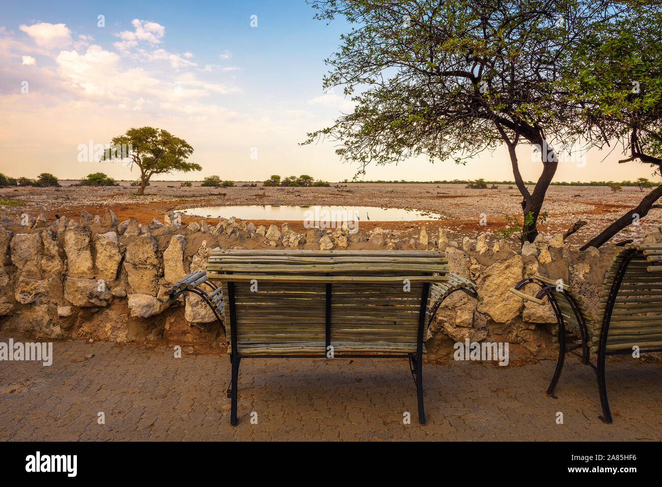 Bench at the waterhole of Okaukuejo Campsite in Etosha National Park,  Namibia Stock Photo - Alamy