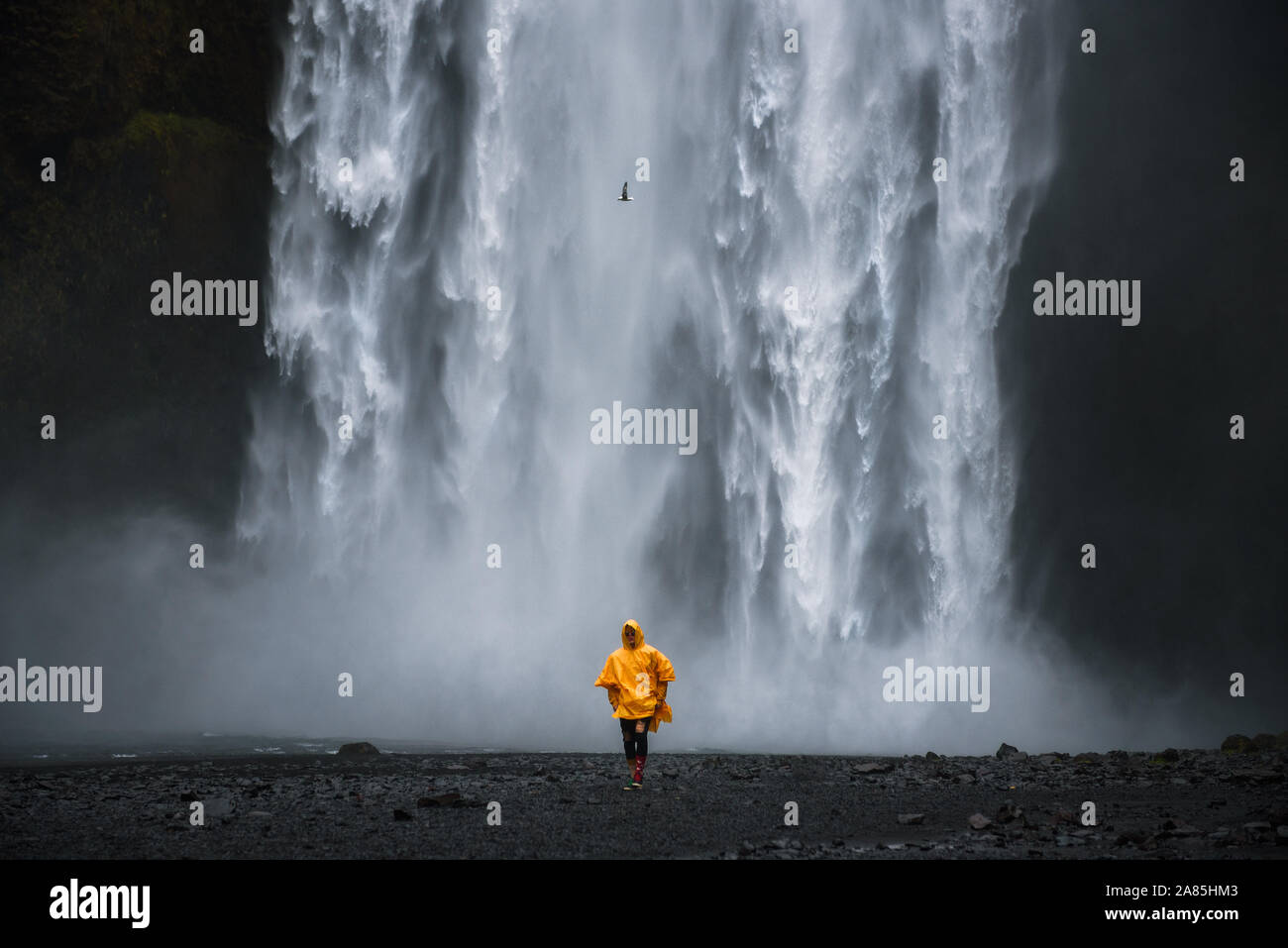 Tourist wearing a yellow raincoat walks from the Skogafoss waterfall in Iceland Stock Photo