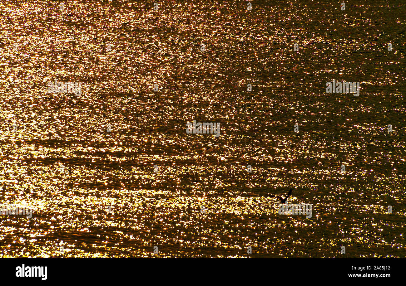 water surface blinking at sanset Stock Photo