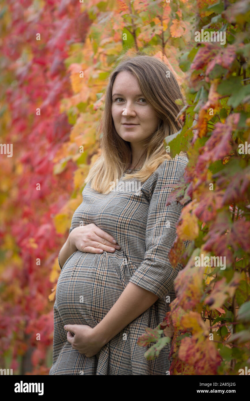 Pregnant woman between a row of grape vines in autumn Stock Photo Alamy