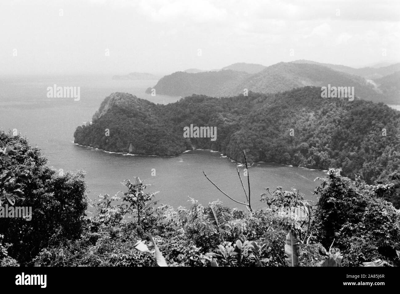 Besuch auf Trinidad und Tobago, 1960er. Visiting Trinidad and Tobago, 1960s. Stock Photo