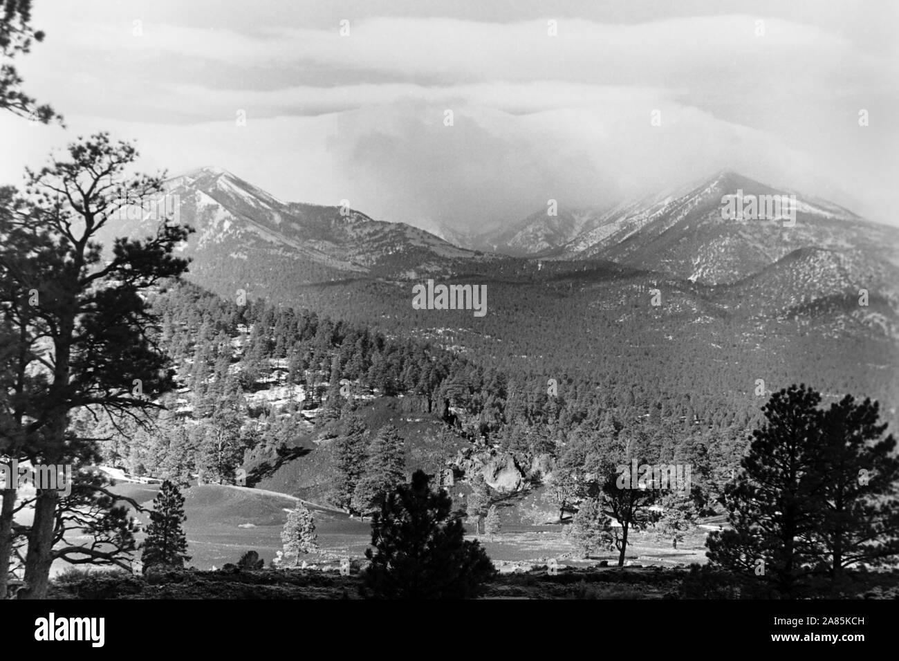 Humphreys Peak, Arizona, 1960er. Humphreys Peak, Arizona, 1960s. Stock Photo