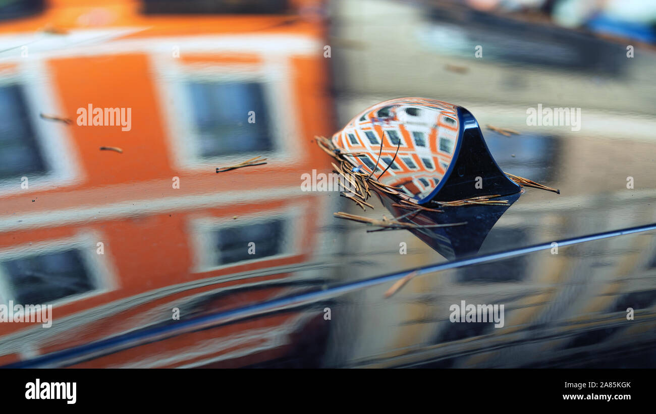 The building with windows is reflected in the roof of the car. Stock Photo