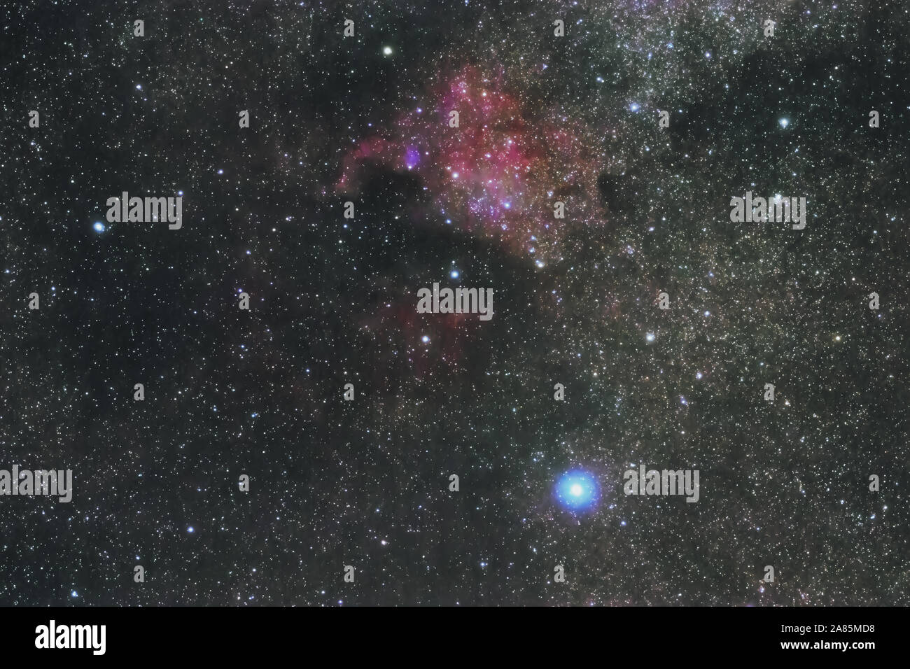 The North America Nebula in Cygnus Constellation, Brightest star Deneb Stock Photo