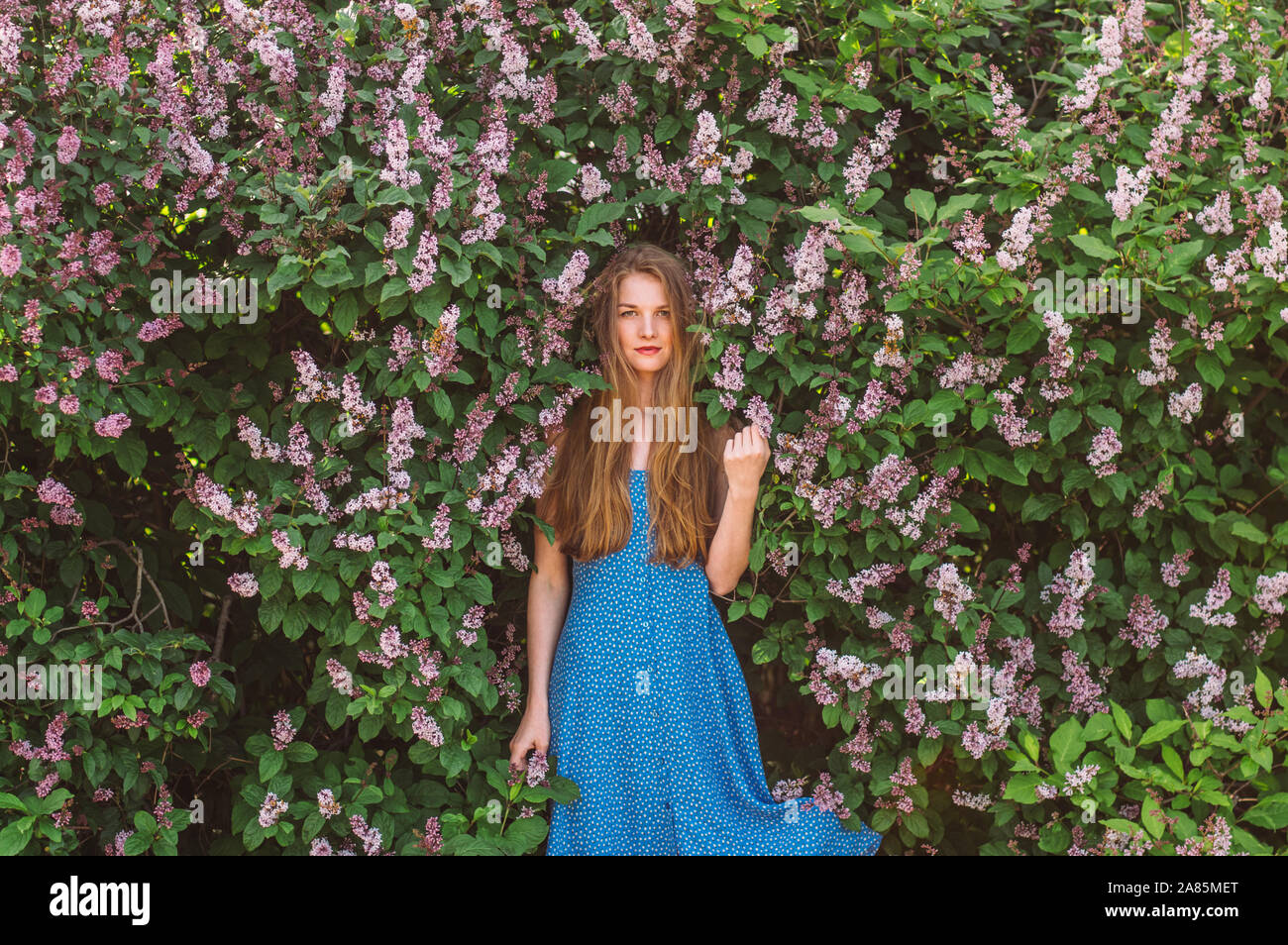 Portrait of girl with blond hair and blue dress among lilac, summertime Stock Photo