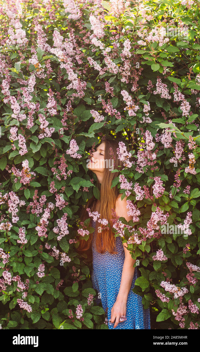 Portrait of girl with blond hair and blue dress that smell flowers among lilac, summertime Stock Photo