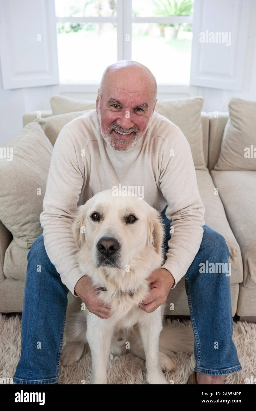 Elderly golden retriever hi-res stock photography and images - Alamy