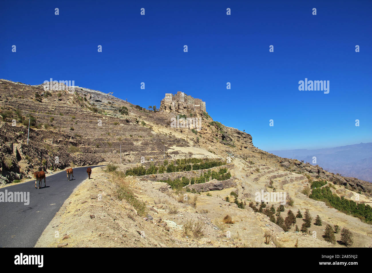 Al Hatab village in Yemen Stock Photo - Alamy