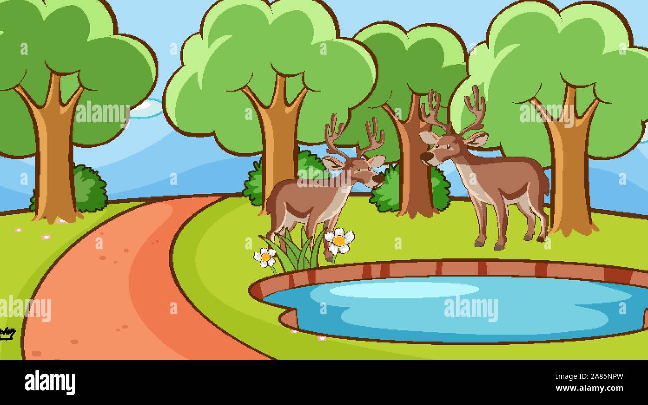 Scene with deers in the forest illustration Stock Vector Image & Art ...