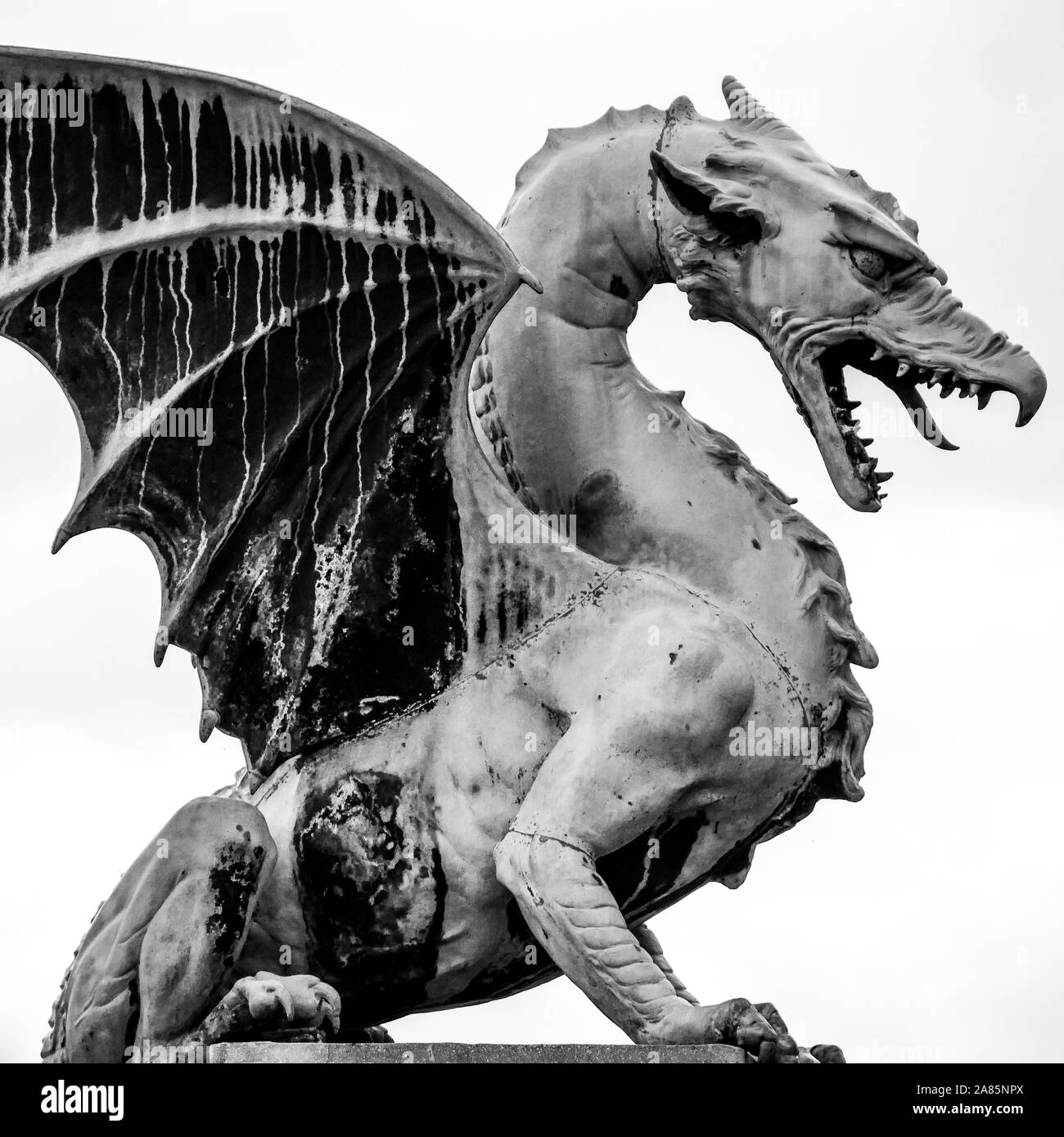 Dragon statue, Dragons bridge Zmajski most, Ljubljana, Slovenia Stock