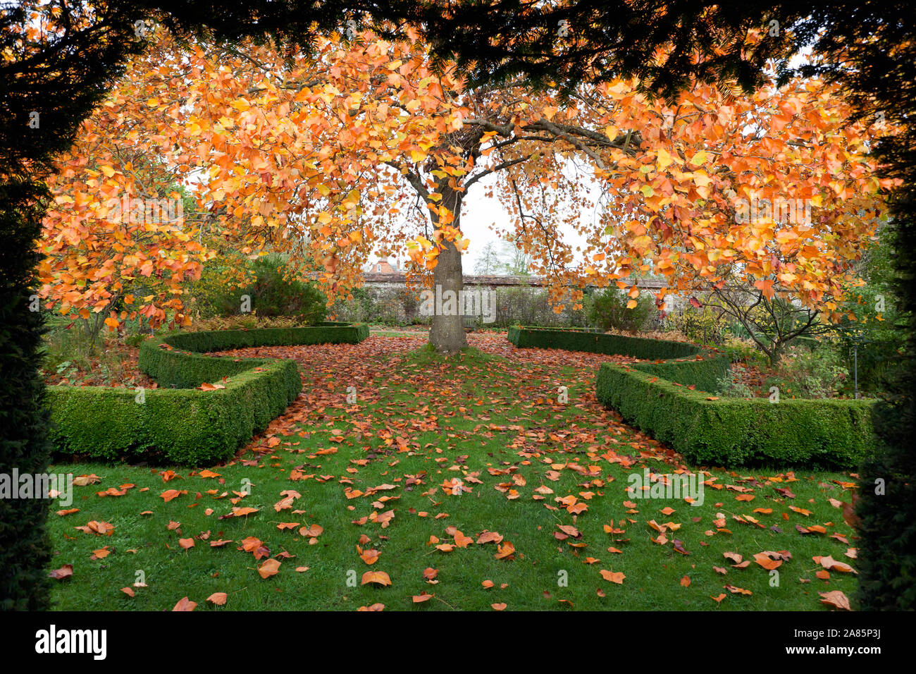 Autumnal view of part of the Masters Garden at The Hospital of St Cross, Winchester Stock Photo