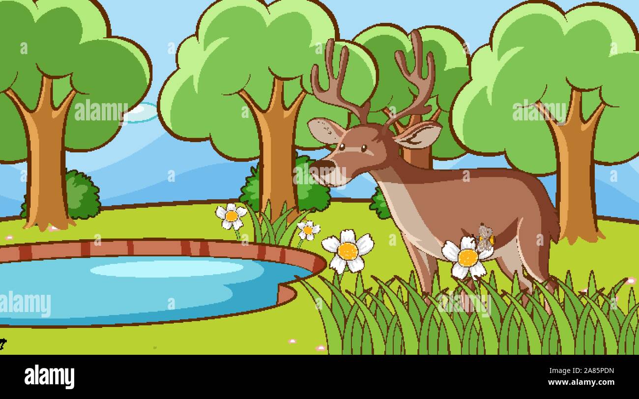 Scene with deer in forest illustration Stock Vector Image & Art - Alamy