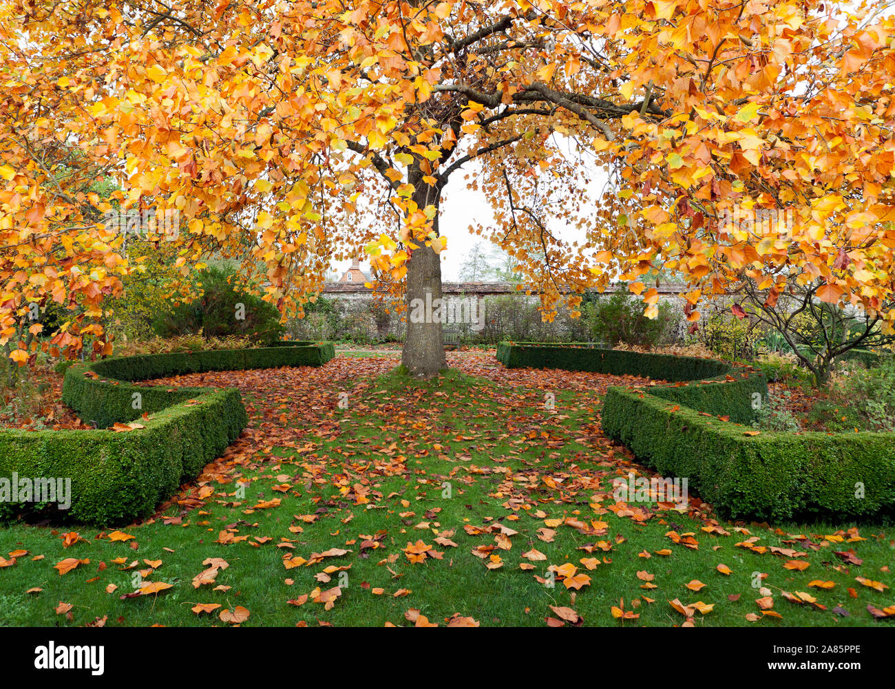 Autumnal view of part of the Masters Garden at The Hospital of St Cross, Winchester Stock Photo