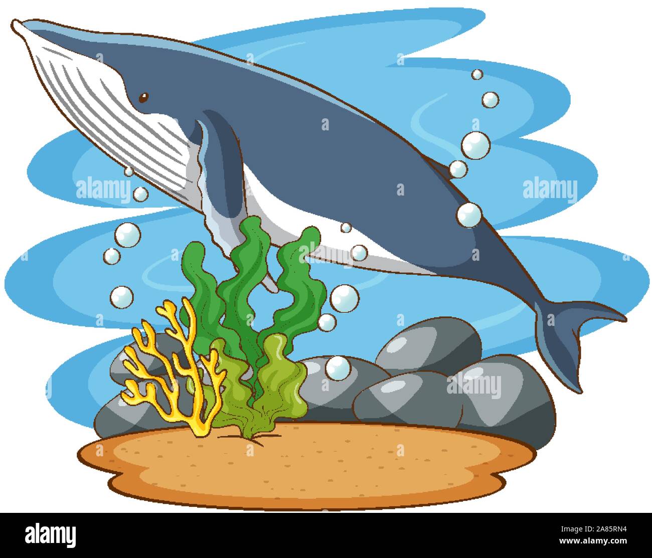 Whale swimming in the sea illustration Stock Vector Image & Art - Alamy
