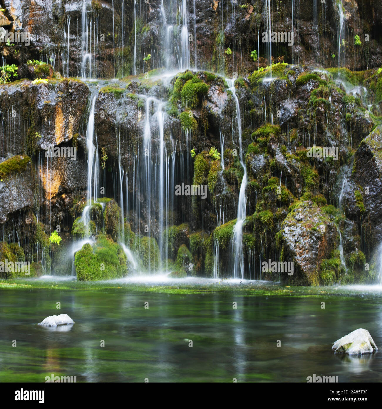 Cascading waterfall in the mountains. Rock ledges overgrown with green