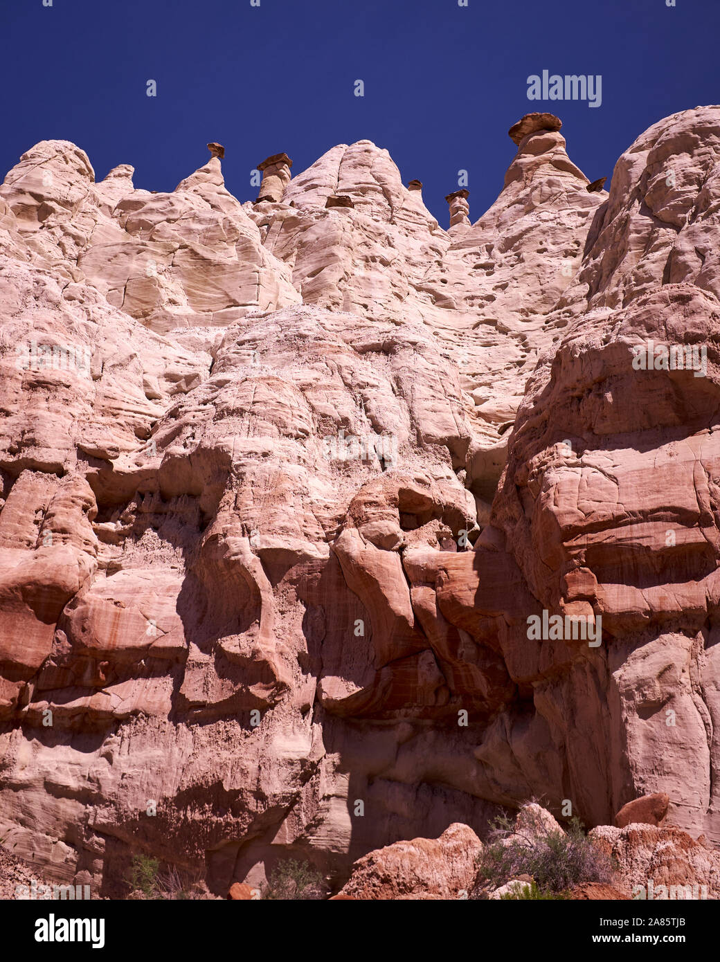 Toadstools at White Rocks Rim Rocks in Utah, USA Stock Photo
