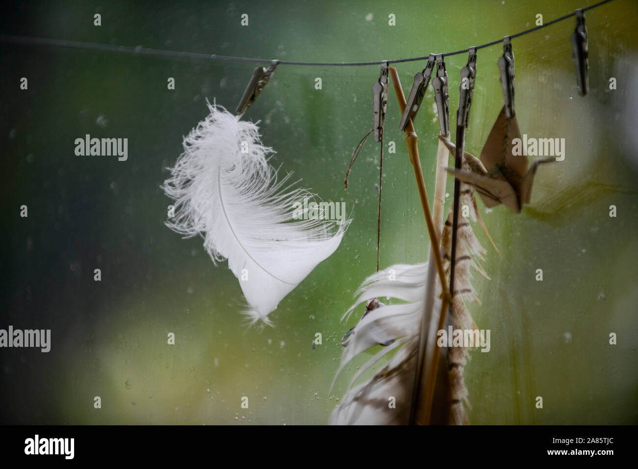 GERMANY, looking out the window with feather and damp Stock Photo