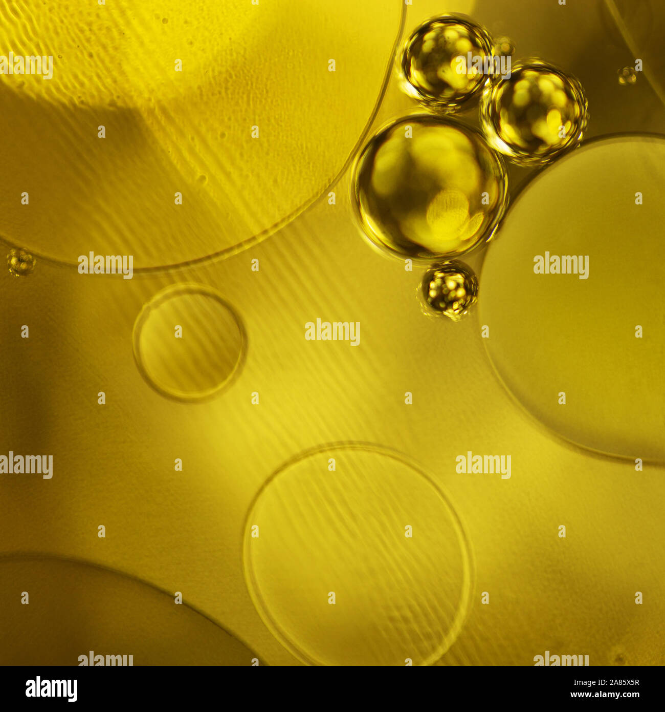 Golden Decorative Bubbles And Circles Of Oil On The Surface Of The