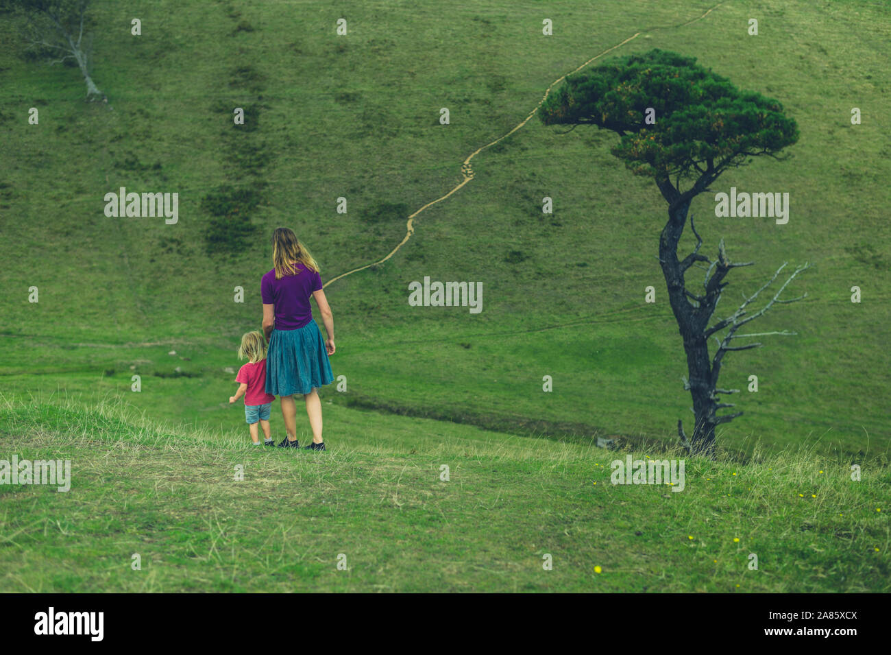 A young mother and her toddler are walking hand in hand in a field on a summer day Stock Photo