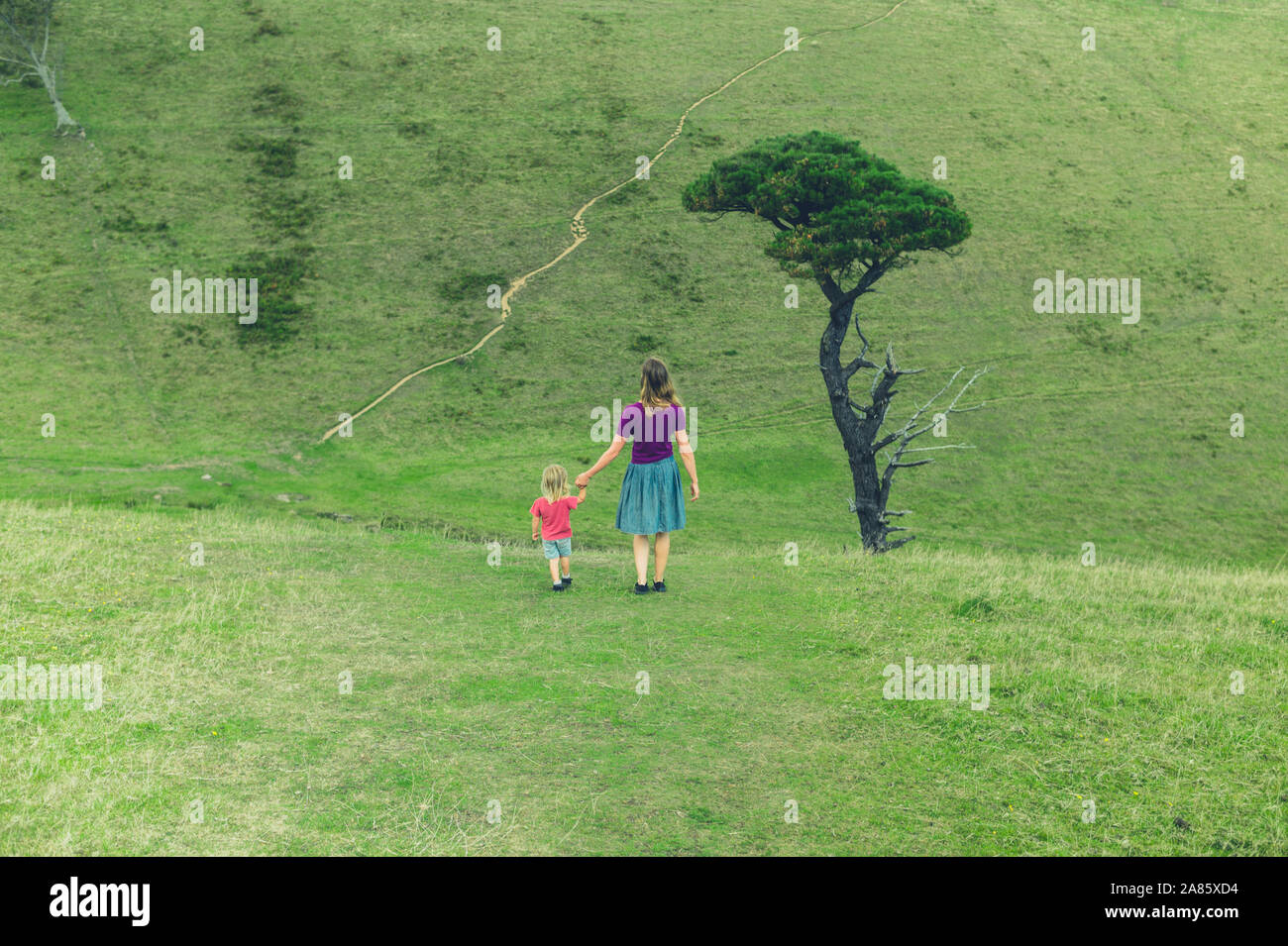 A young mother and her toddler are walking hand in hand in a field on a summer day Stock Photo