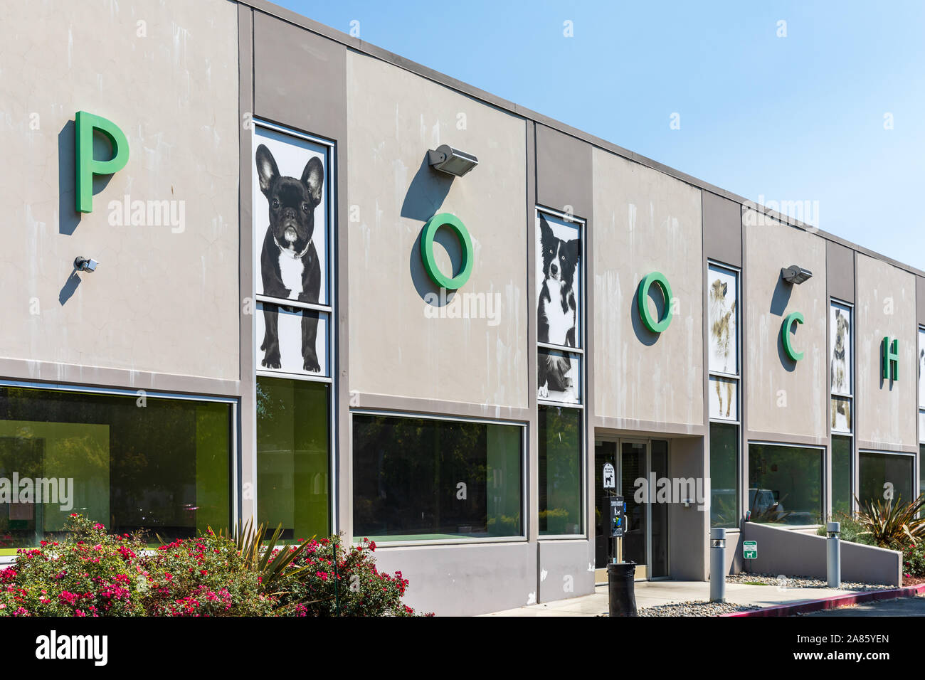 Pooch Hotel, Sunnyvale Dog Daycare, Boarding & Grooming, front of building; Sunnyvale, California Stock Photo