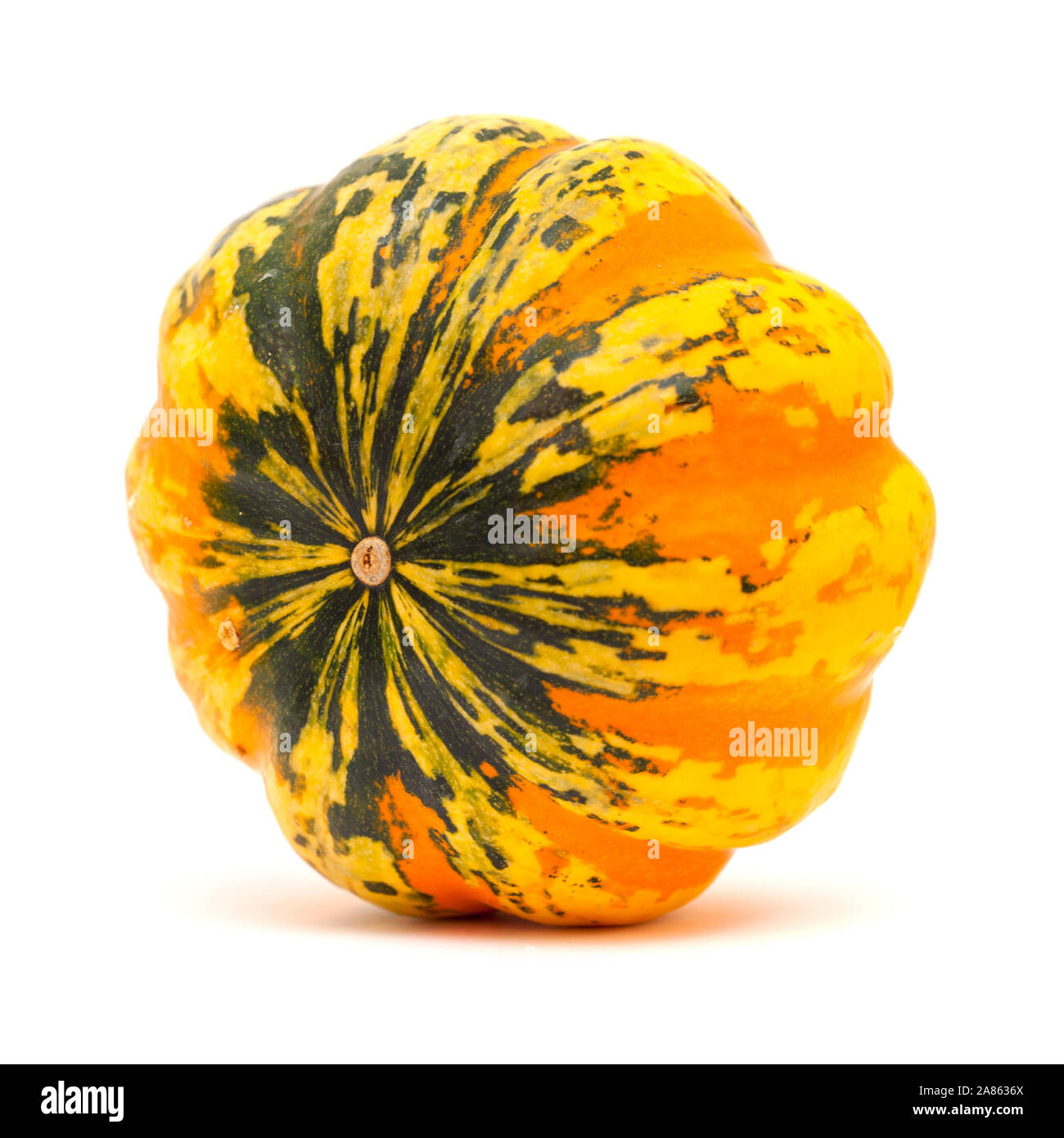 ornamental orange and dark green pumpkin isolated on white Stock Photo