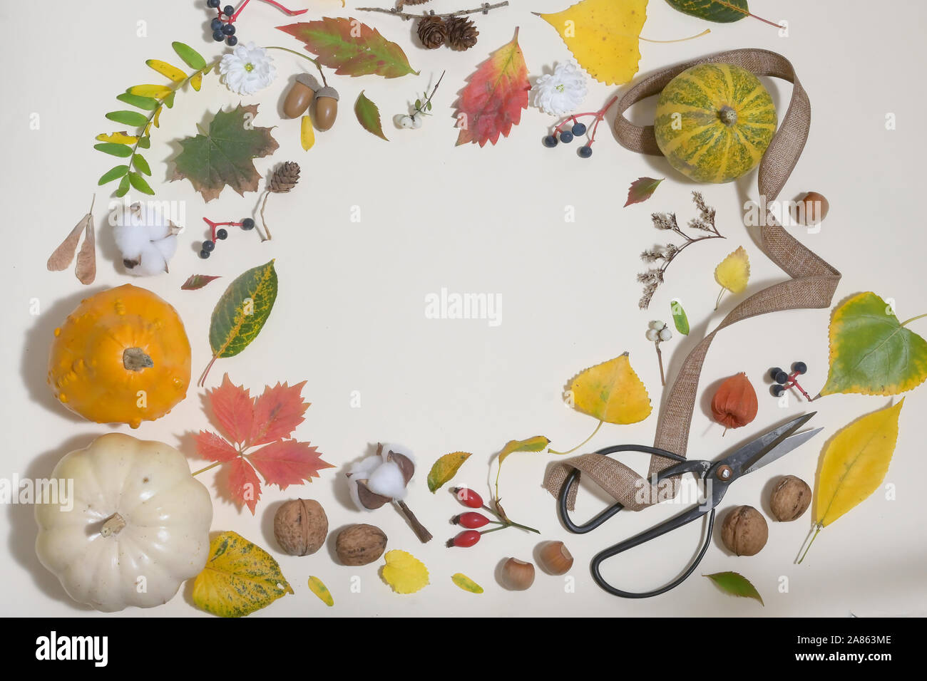 Autumn Colourful Leaves In Frame Isolated Stock Photo