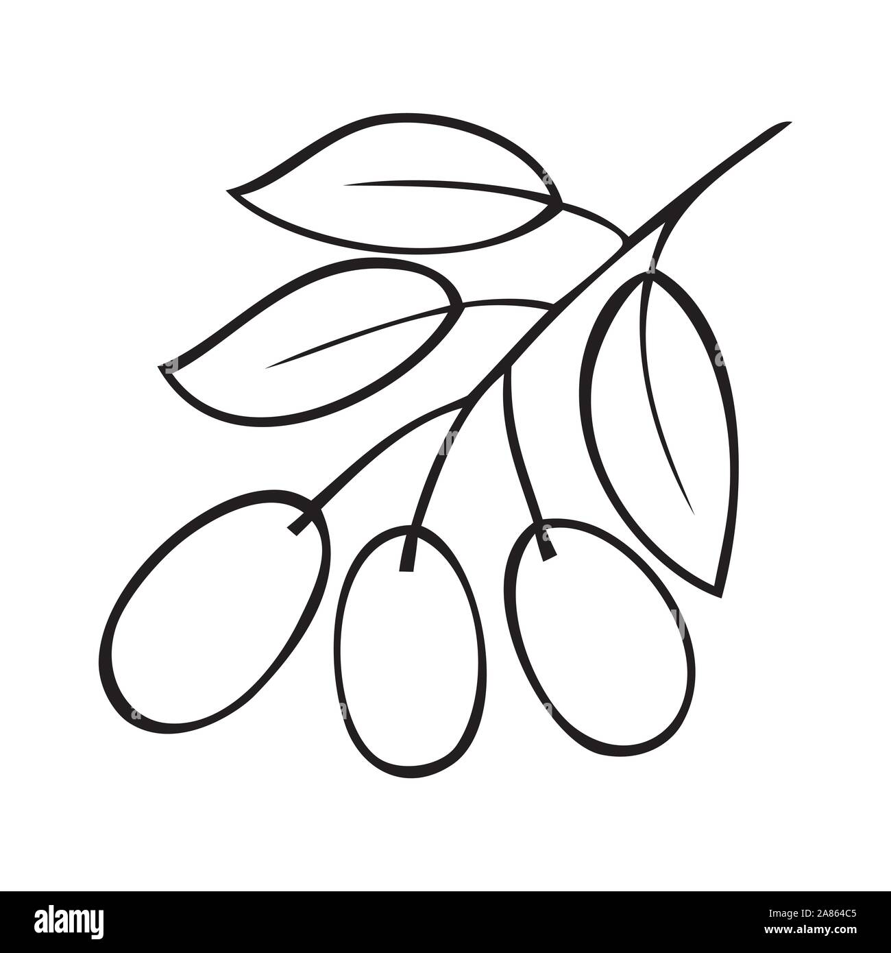 Black and white vector illustration of a branch of olive Stock Vector ...