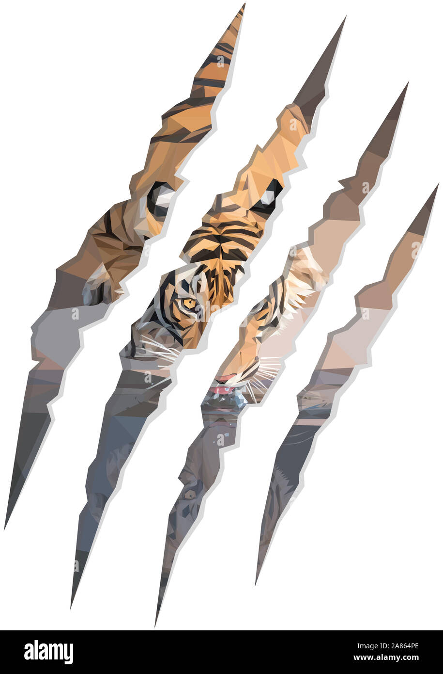 Low poly illustration of a tiger drinking water inside of claw marks Stock Photo