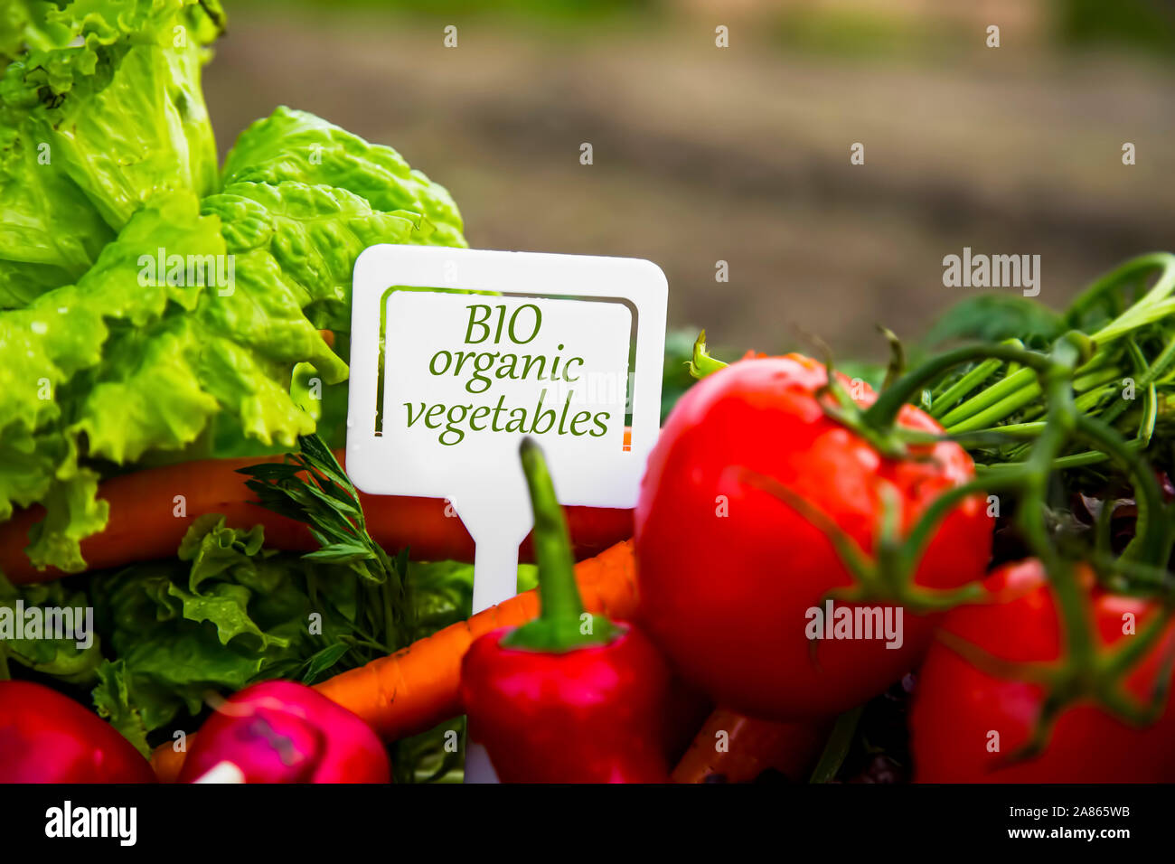 Bio organic vegetables basket with label, fresh organic local food Stock Photo
