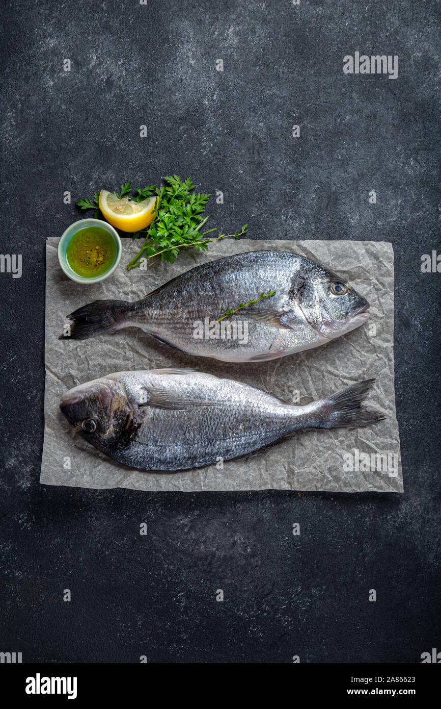 Dorada fish, raw fresh sea bream with lemon and herbs on a grey stone background, top view. Stock Photo