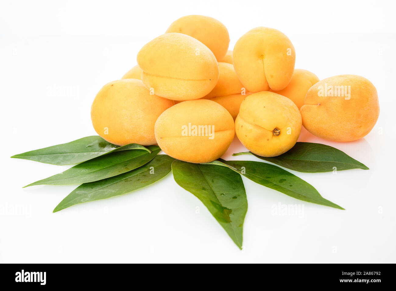 fresh apricot isolated on white background Stock Photo - Alamy