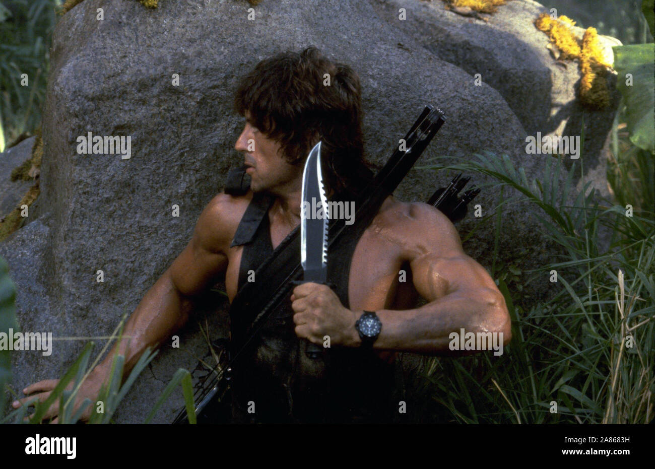 First Blood Rambo First Blood Sylvester Stallone High Resolution Stock Photography ...