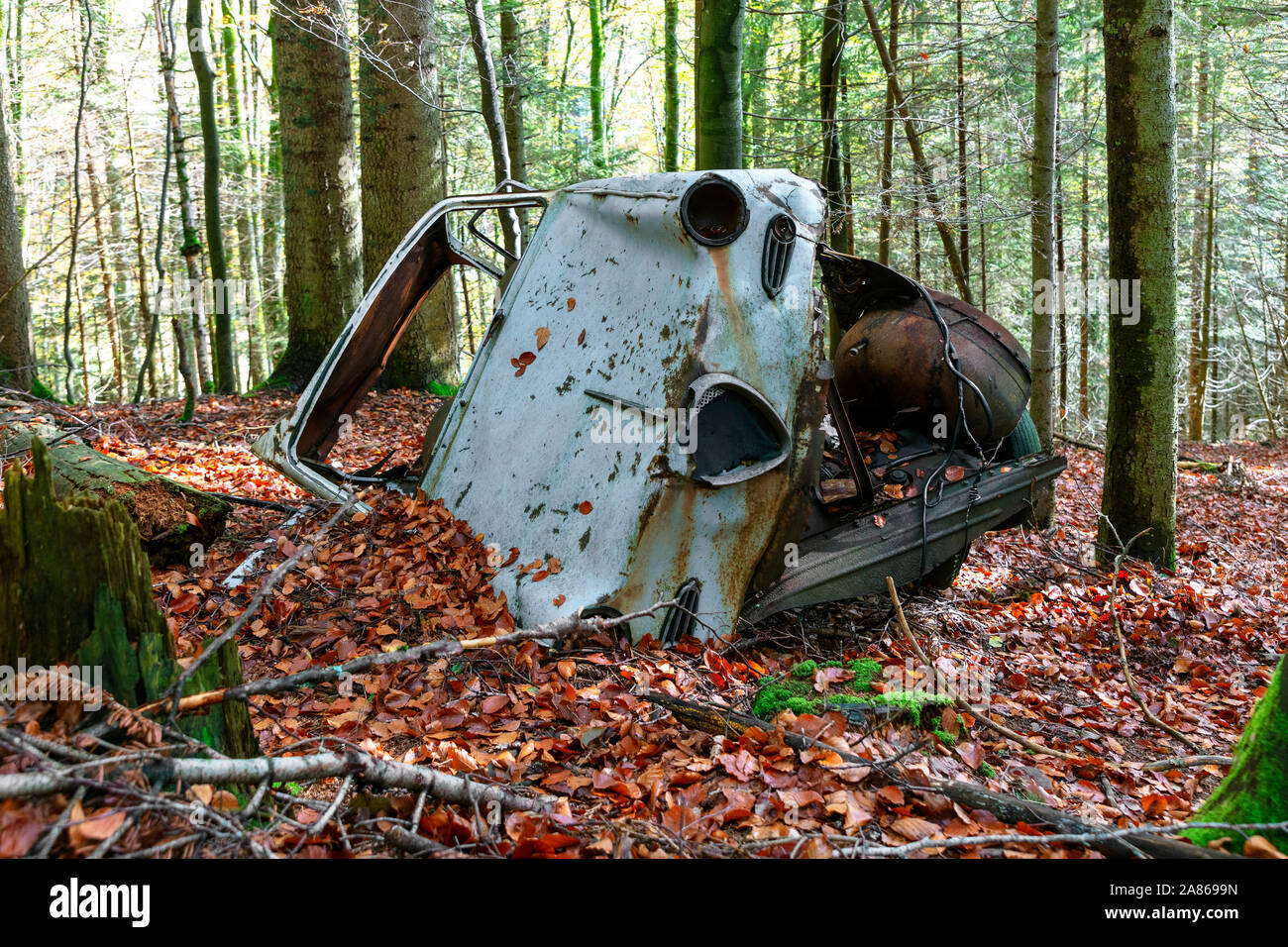 Car wreck in Forest, Black Forest, Germany Stock Photo