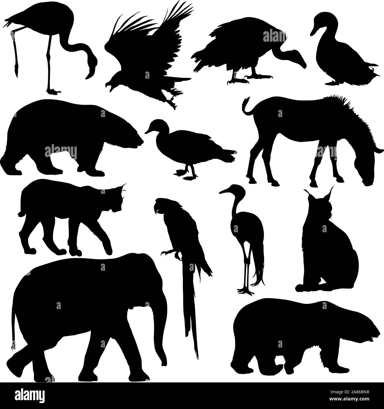 Silhouette elephant bear eagle trot duck zebra parrot on a white background. Stock Vector