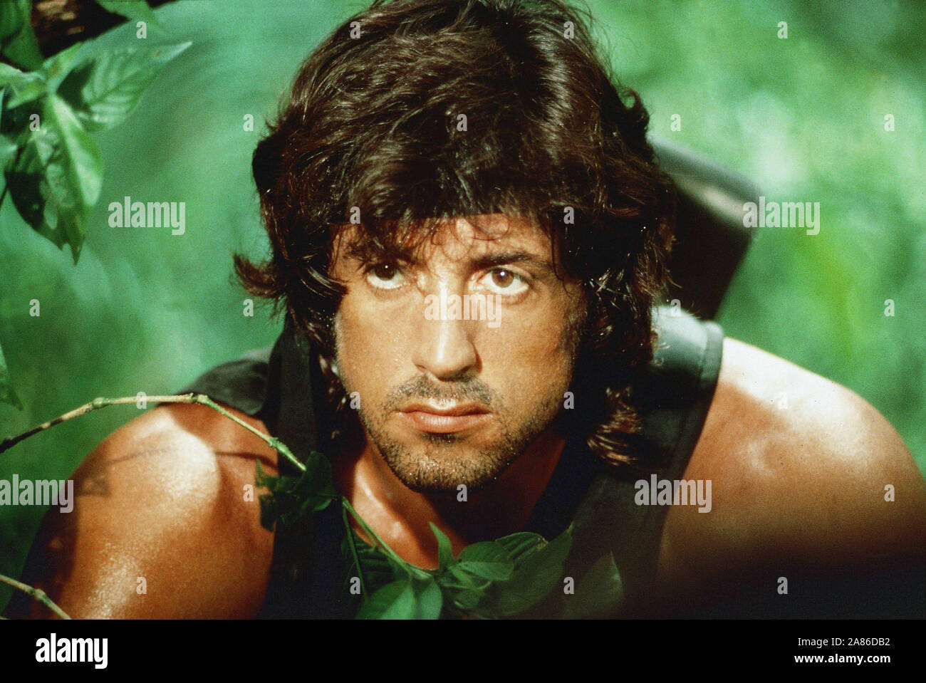 2| Autogrammfoto Actor Sylvester Stallone in Rambo 