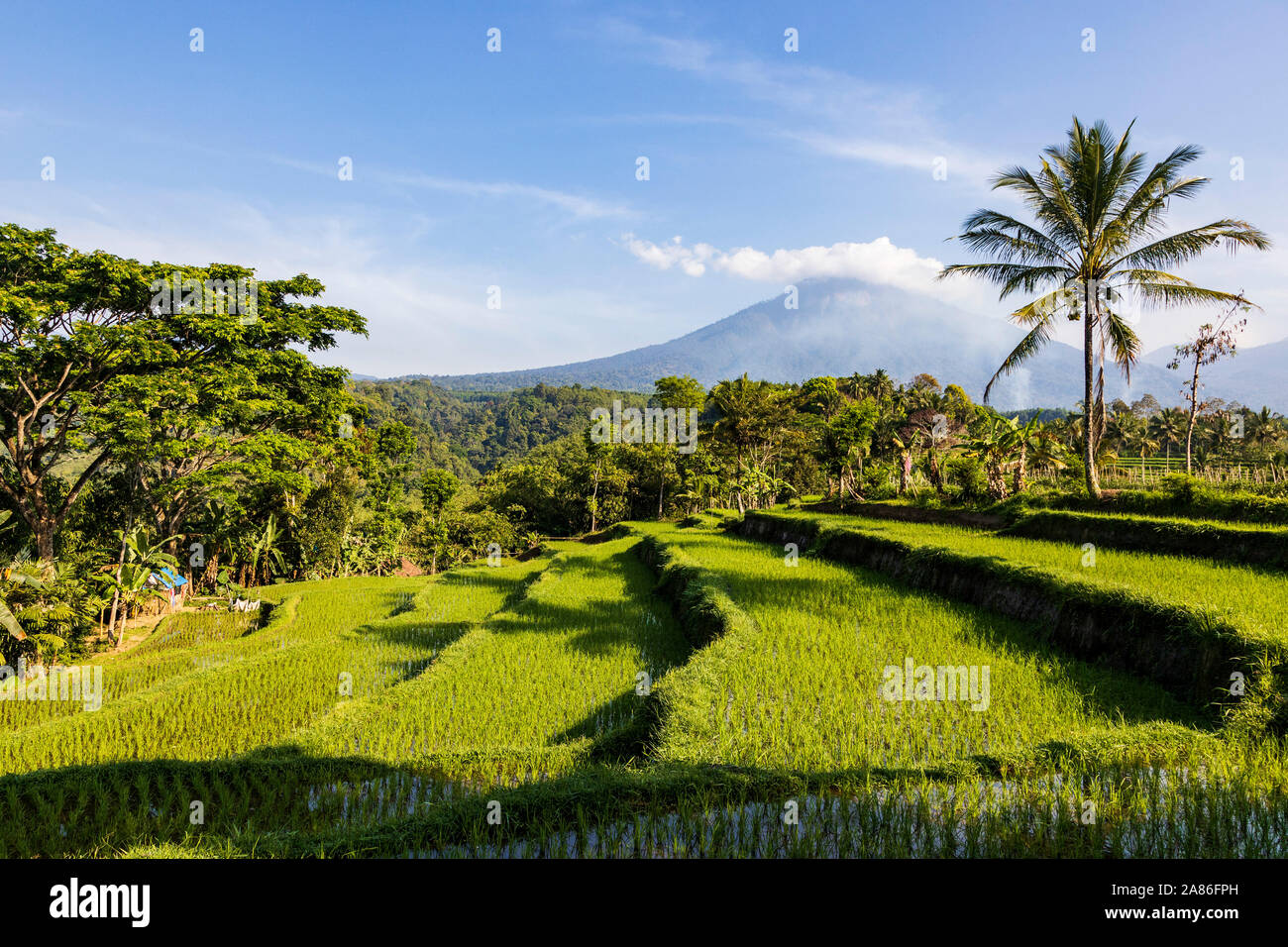 Volcanoes and rice paddies hi-res stock photography and images - Alamy