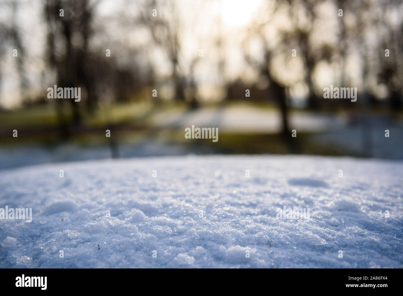 First snow on car's roof Stock Photo Alamy