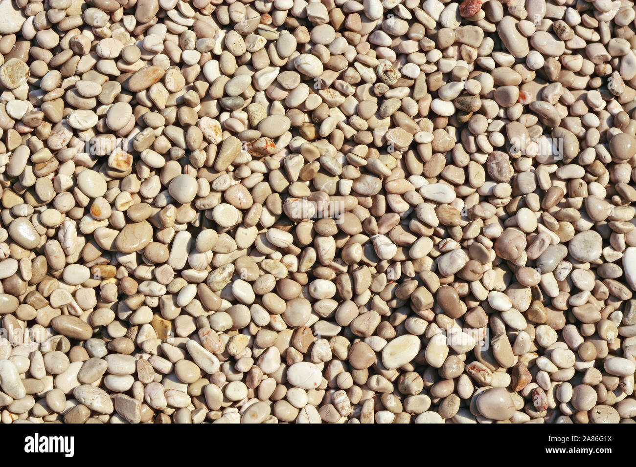 Image of shallow, smooth, wet pebbles on the beach of the Adriatic Sea for use as an abstract background. Stock Photo